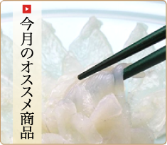 今月のオススメ商品